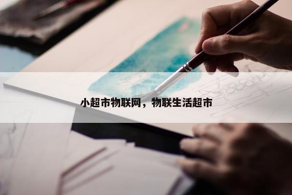 小超市物联网，物联生活超市
