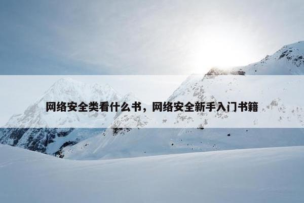 网络安全类看什么书，网络安全新手入门书籍