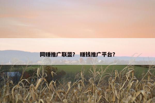 网赚推广联盟？ 赚钱推广平台？