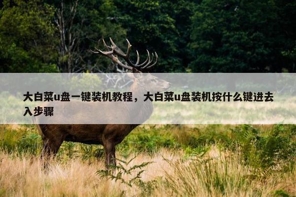 大白菜u盘一键装机教程，大白菜u盘装机按什么键进去入步骤