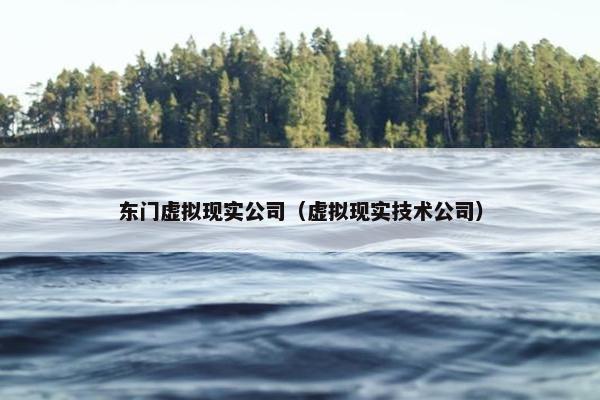 东门虚拟现实公司（虚拟现实技术公司）