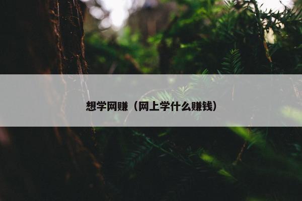 想学网赚（网上学什么赚钱）