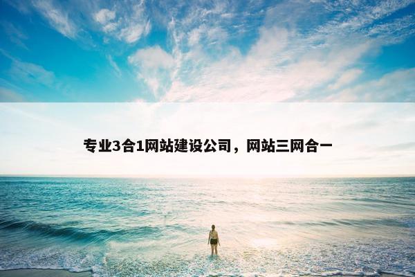 专业3合1网站建设公司，网站三网合一