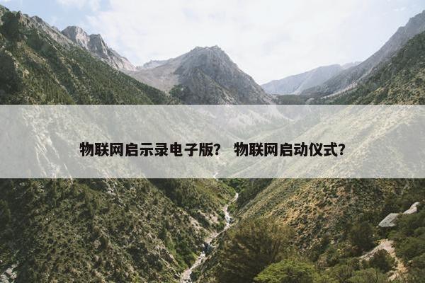 物联网启示录电子版？ 物联网启动仪式？