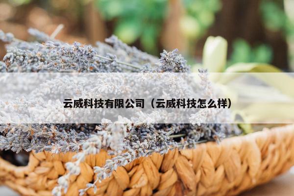 云威科技有限公司（云威科技怎么样）