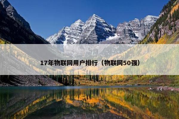 17年物联网用户排行（物联网50强）