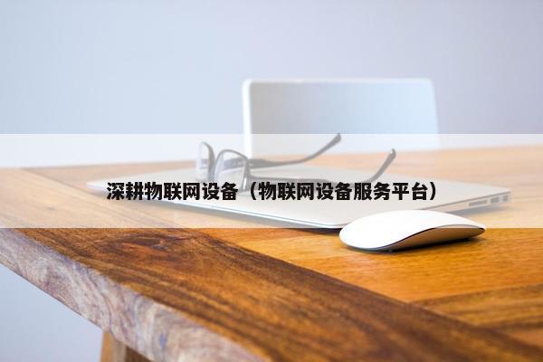 深耕物联网设备（物联网设备服务平台）