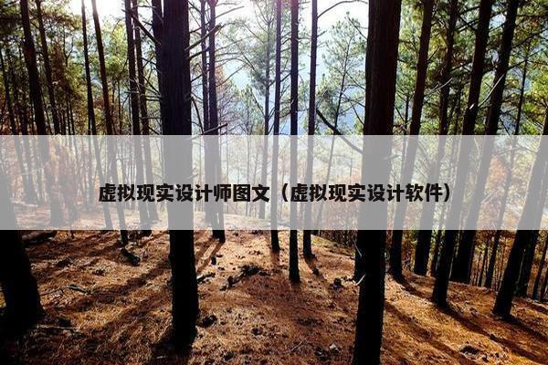 虚拟现实设计师图文（虚拟现实设计软件）