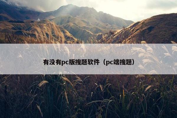 有没有pc版搜题软件（pc端搜题）