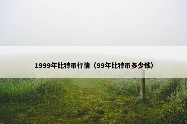 1999年比特币行情（99年比特币多少钱）
