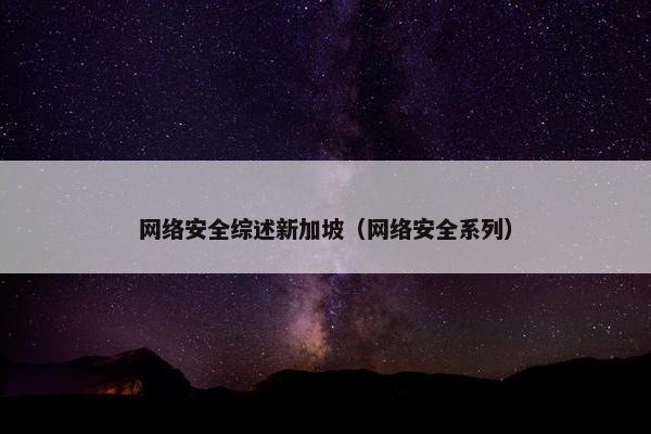 网络安全综述新加坡（网络安全系列）