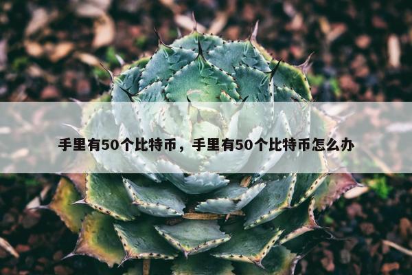 手里有50个比特币，手里有50个比特币怎么办