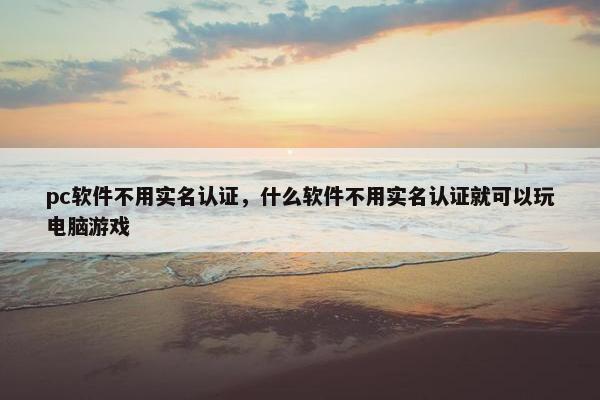 pc软件不用实名认证，什么软件不用实名认证就可以玩电脑游戏