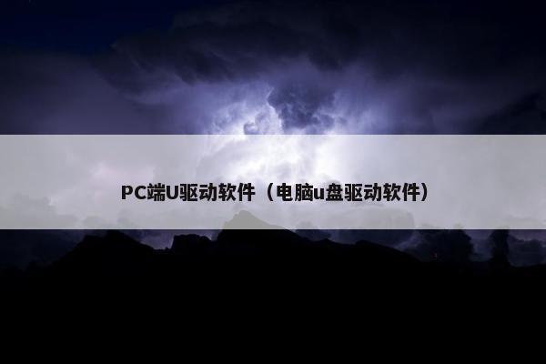 PC端U驱动软件（电脑u盘驱动软件）