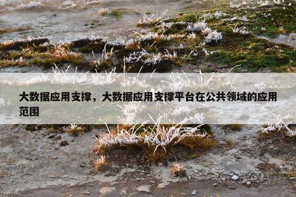 大数据应用支撑，大数据应用支撑平台在公共领域的应用范围