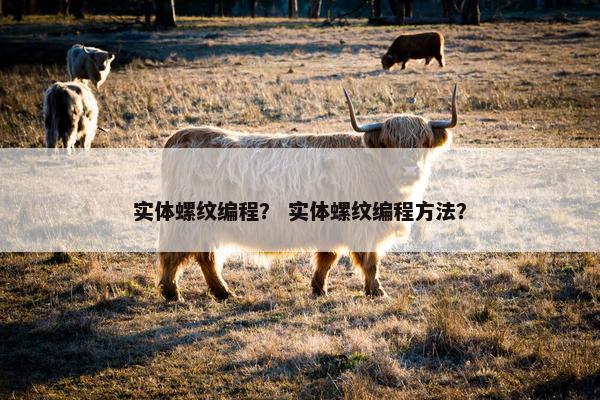 实体螺纹编程？ 实体螺纹编程方法？