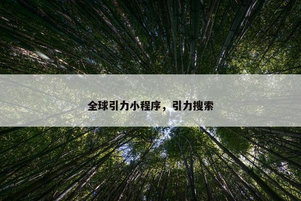 全球引力小程序，引力搜索