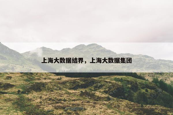上海大数据结界，上海大数据集团