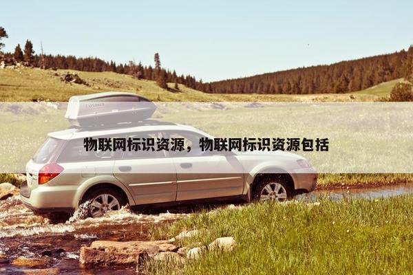 物联网标识资源，物联网标识资源包括