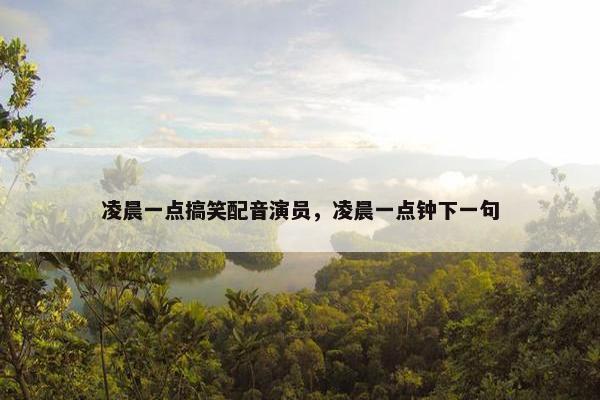 凌晨一点搞笑配音演员，凌晨一点钟下一句