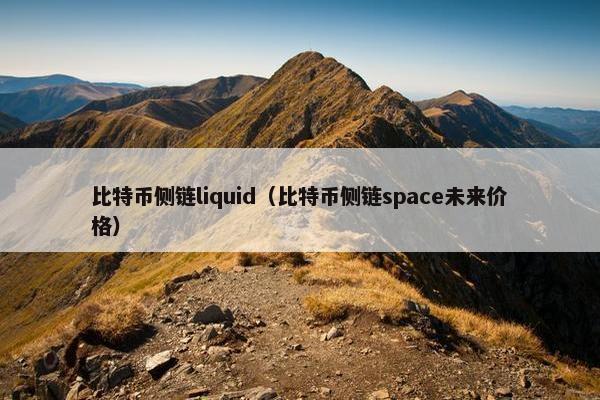 比特币侧链liquid（比特币侧链space未来价格）
