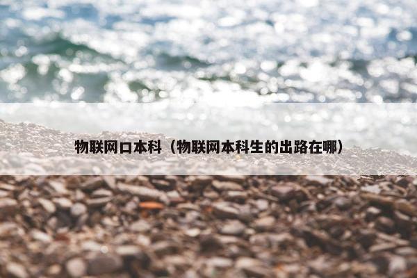 物联网口本科（物联网本科生的出路在哪）