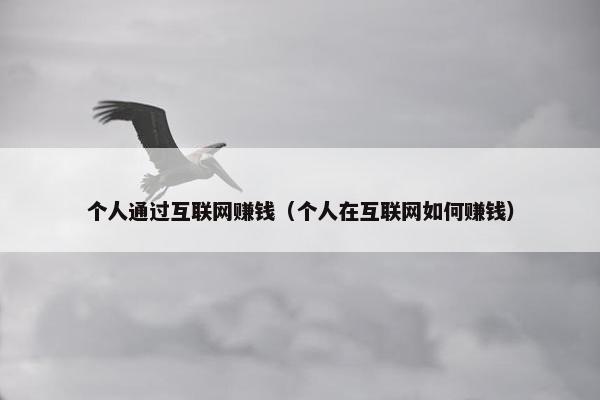 个人通过互联网赚钱（个人在互联网如何赚钱）