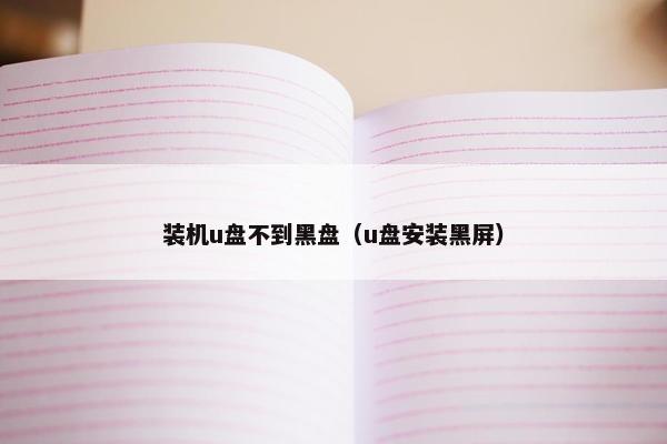 装机u盘不到黑盘（u盘安装黑屏）
