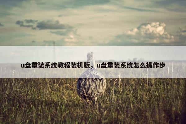 u盘重装系统教程装机版，u盘重装系统怎么操作步