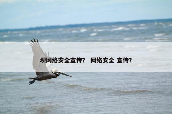 坝网络安全宣传？ 网络安全 宣传？