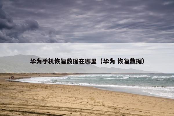华为手机恢复数据在哪里（华为 恢复数据）