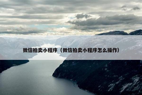 微信拍卖小程序（微信拍卖小程序怎么操作）