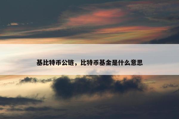 基比特币公链，比特币基金是什么意思