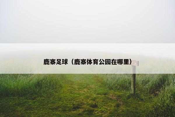鹿寨足球（鹿寨体育公园在哪里）