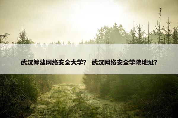 武汉筹建网络安全大学？ 武汉网络安全学院地址？