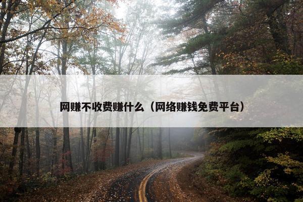 网赚不收费赚什么（网络赚钱免费平台）