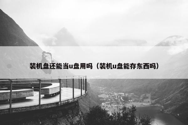装机盘还能当u盘用吗（装机u盘能存东西吗）