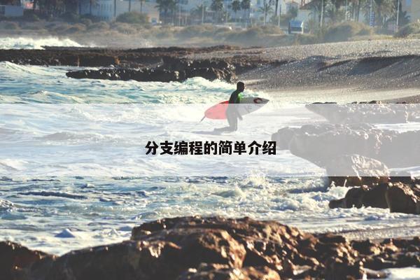分支编程的简单介绍
