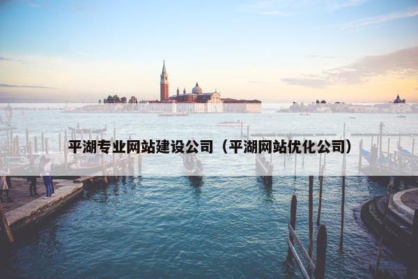 平湖专业网站建设公司（平湖网站优化公司）