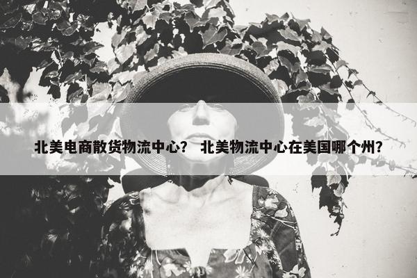 北美电商散货物流中心？ 北美物流中心在美国哪个州？