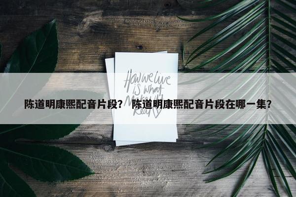 陈道明康熙配音片段？ 陈道明康熙配音片段在哪一集？