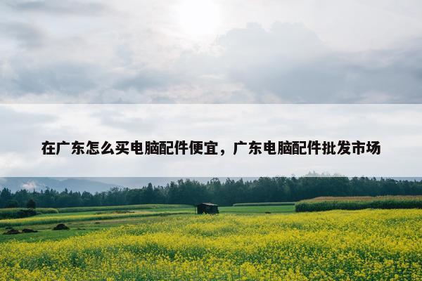 在广东怎么买电脑配件便宜，广东电脑配件批发市场