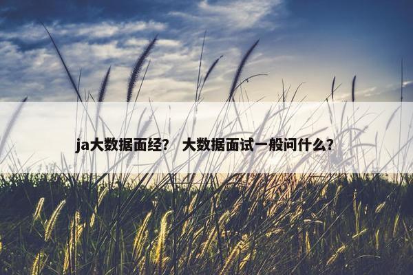 ja大数据面经？ 大数据面试一般问什么？