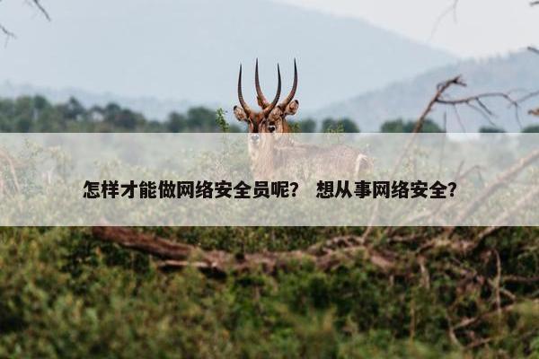 怎样才能做网络安全员呢？ 想从事网络安全？