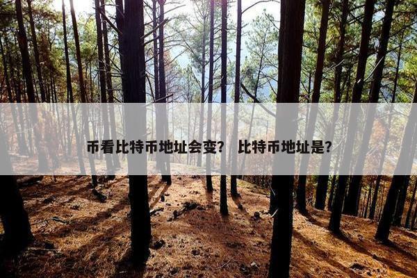 币看比特币地址会变？ 比特币地址是？