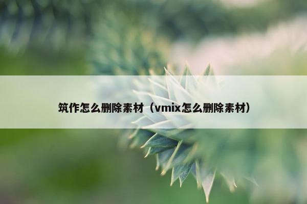 筑作怎么删除素材（vmix怎么删除素材）