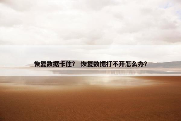 恢复数据卡住？ 恢复数据打不开怎么办？