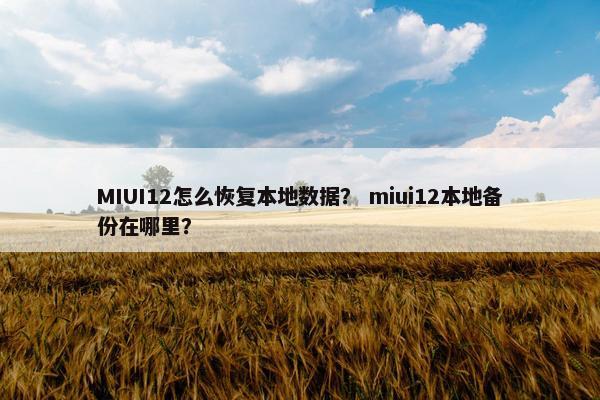 MIUI12怎么恢复本地数据？ miui12本地备份在哪里？
