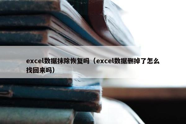 excel数据抹除恢复吗（excel数据删掉了怎么找回来吗）