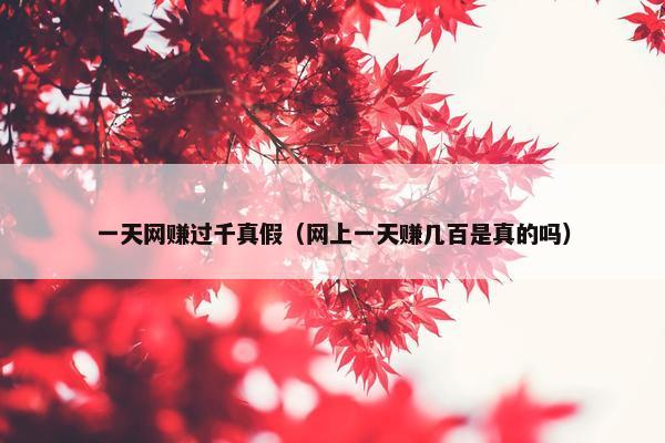 一天网赚过千真假（网上一天赚几百是真的吗）